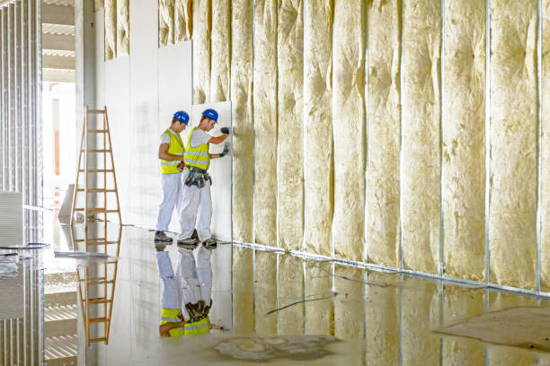 Best Insulation Maintenance and Repair in Clearwater, KS